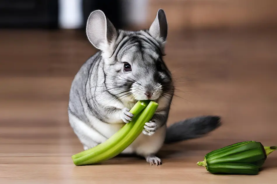 Can Chinchillas Eat Celery Leaves