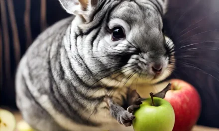 Can Chinchilla Eat Apples? A Complete Guide to Chinchilla Nutrition