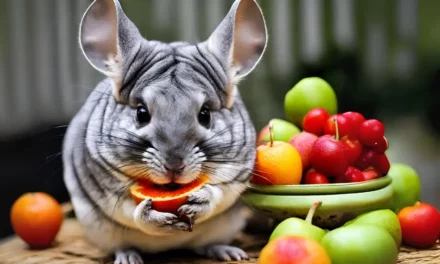 Can Chinchilla Eat Fruits? Vet Tips on Diet & Treats for Happy Chinchillas