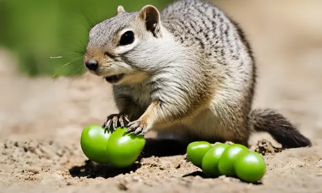 Can California Ground Squirrels Eat Peas?