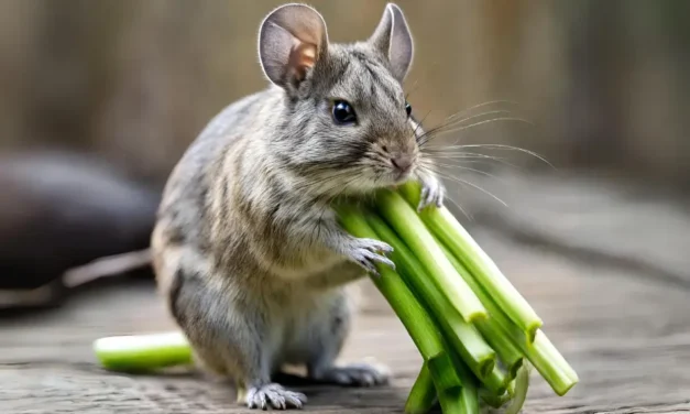 Can Degus Eat Celery? A Nutritional Guide for Your Furry Friends